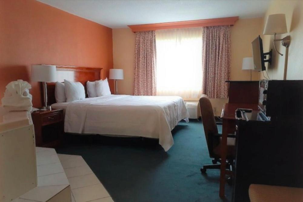 King Bed Smoking	 interior